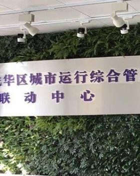 拥有生态及仿真植物的墙体花园