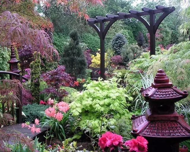 7旬夫妻用24年建绝美花园 全球花友慕名来“探花”-31