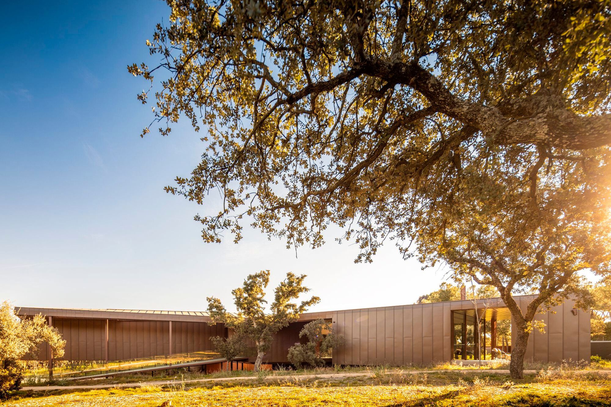 莫拉雷哈别墅丨西班牙丨Vasco Vieira Arquitectos-28