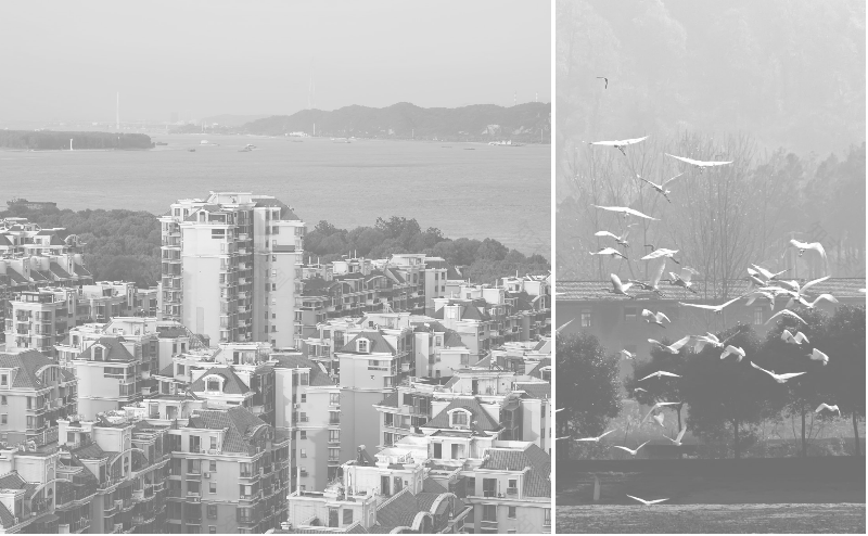 南京天悦锦麟大悦城丨中国南京丨DOME&ASSOCIATES董世建筑-5