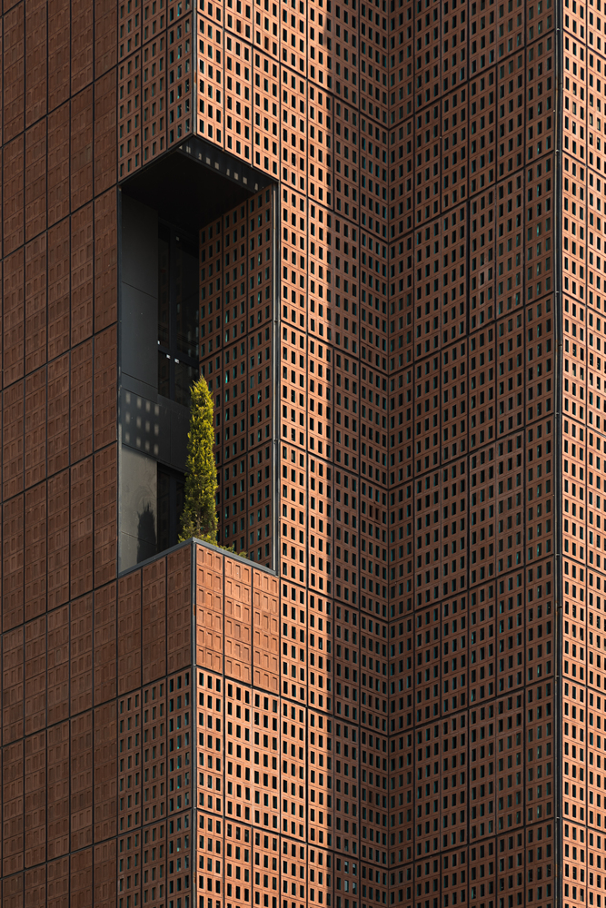 矛盾中的和谐 | 高科技与传统元素的融合-51