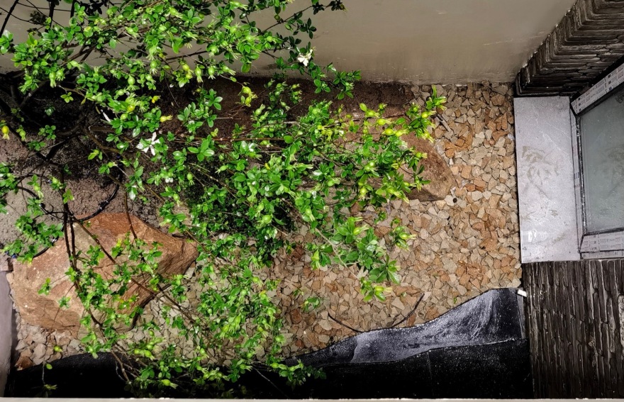 上海桃花源私庭营造丨中国上海丨墨刻丨無言斋造园-63