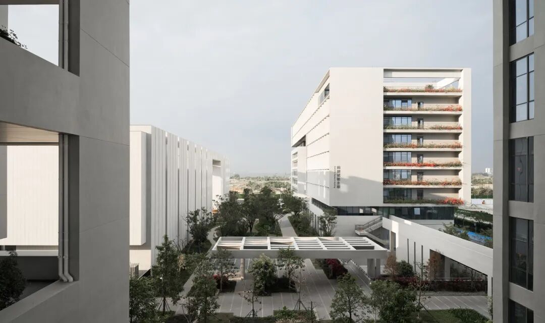 浙江大学（海南）先进技术与产业创新平台丨中国三亚丨浙江大学建筑设计研究院（UAD）-15