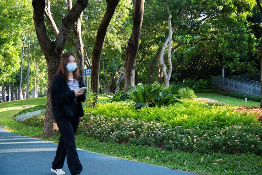 深圳福田侨香路景观提升丨中国深圳丨深圳文科园林股份有限公司-72