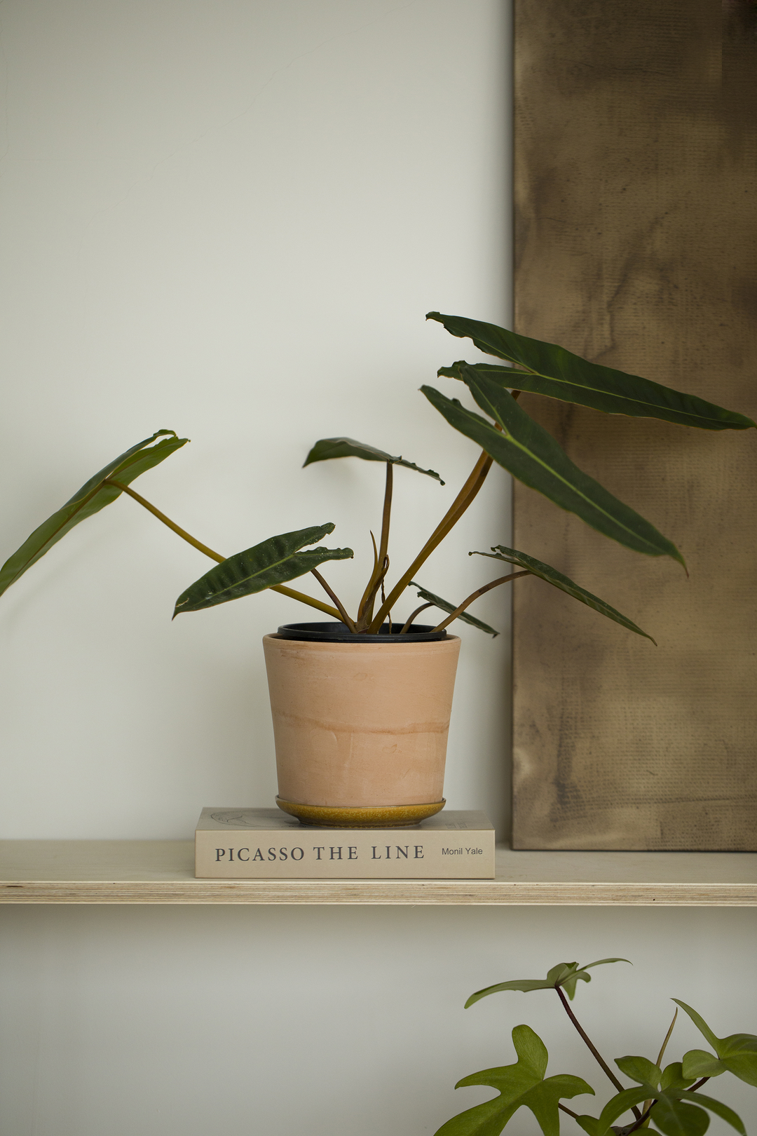 生活策展家:空间与能量场的艺术 · 陈智超设计丨中国广州-57