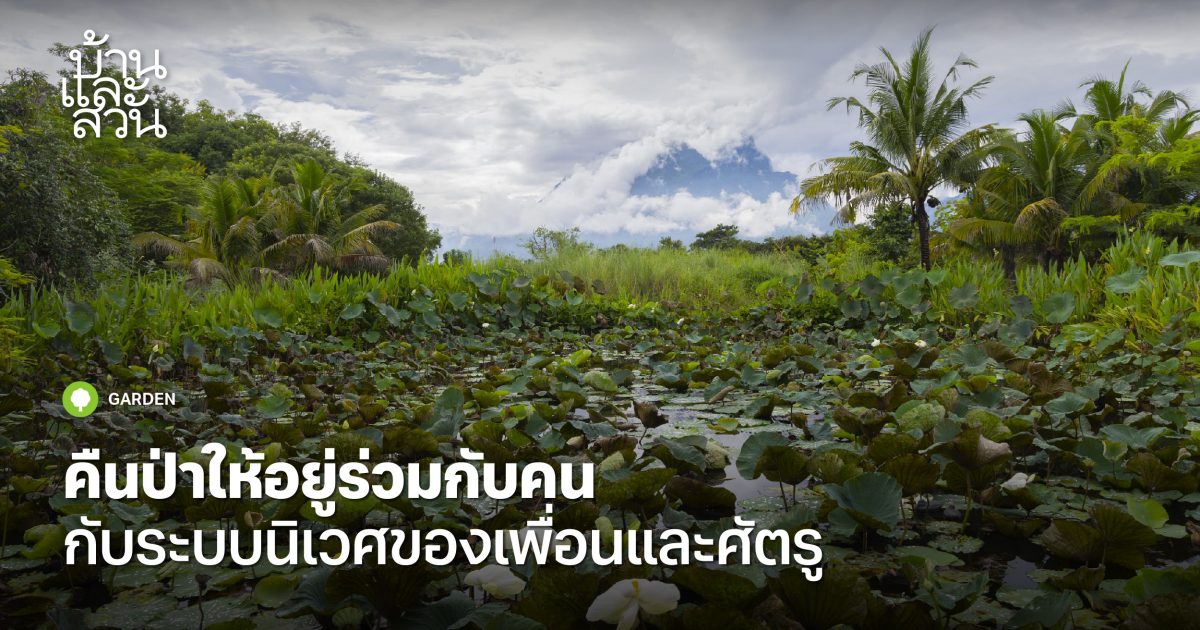 สวนยุโรปและสวนเอเชียร่วมสมัย ที่ออกแบบตามหลักฮวงจุ้ย - บ้านและสวน-15