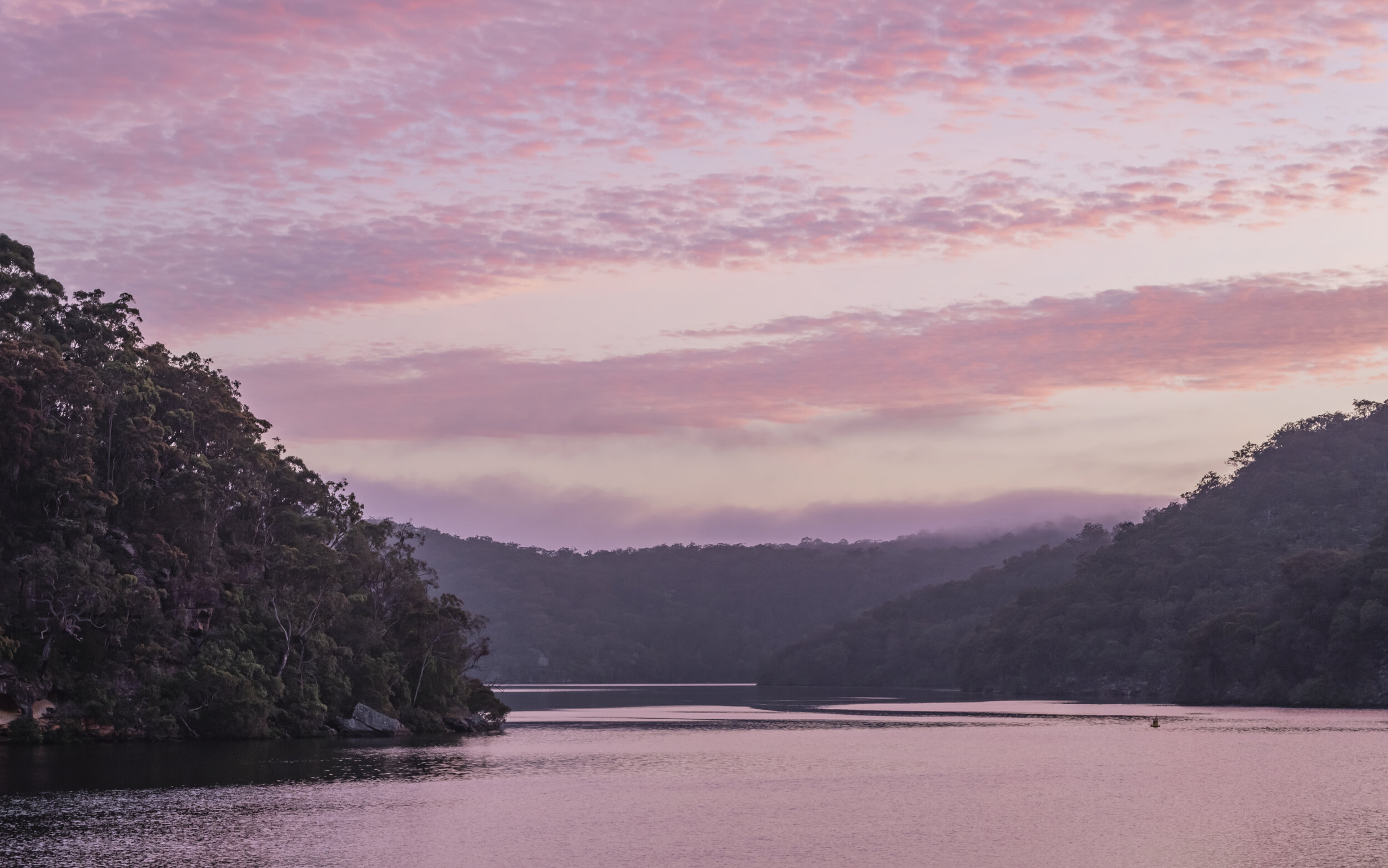 Christmas 2020 — Design.daily-0