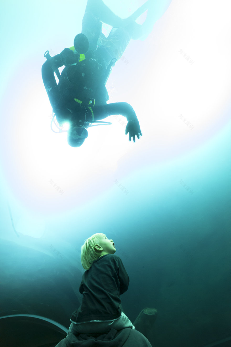 Aquatis综合体,瑞士洛桑 /Richter Dahl Rocha & Associés Architects-29