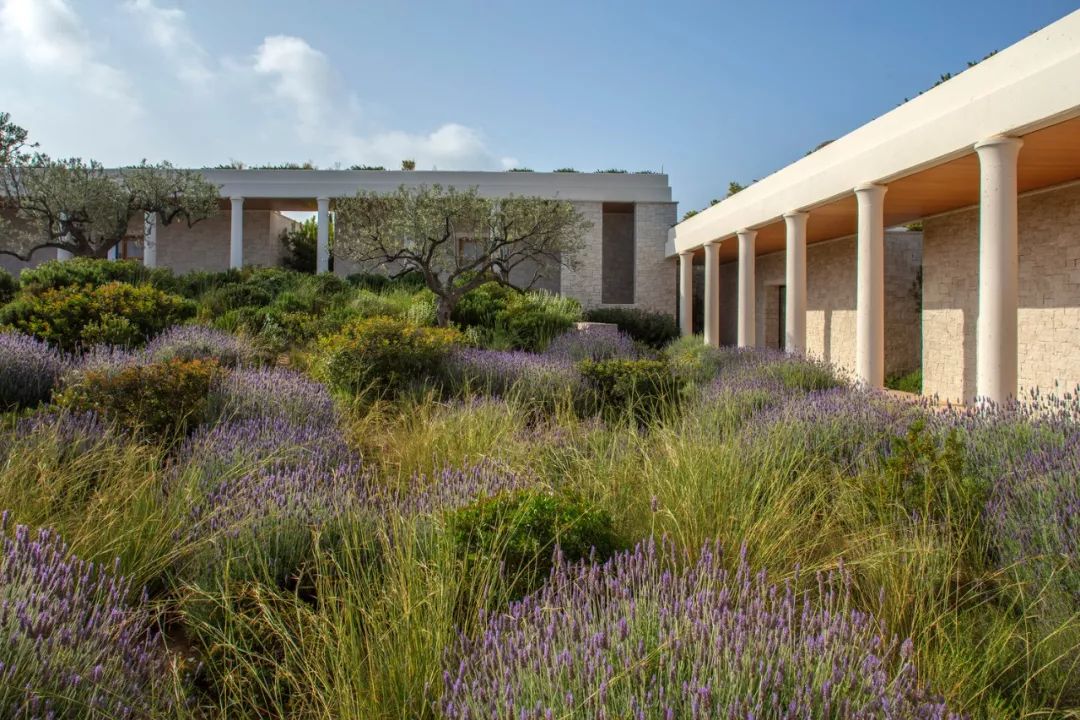 安缦度假村 Amanzoe | 融入自然的希腊奢华酒店-51