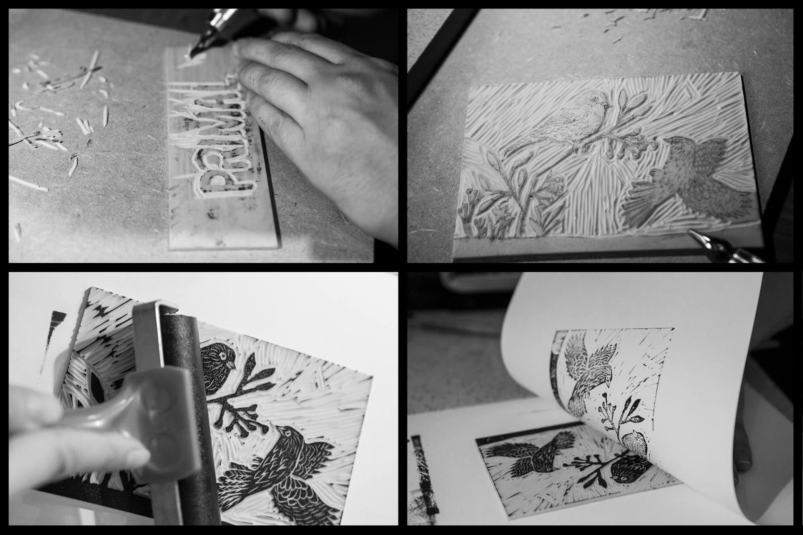 PRIMAL 天然海绵包装设计-19