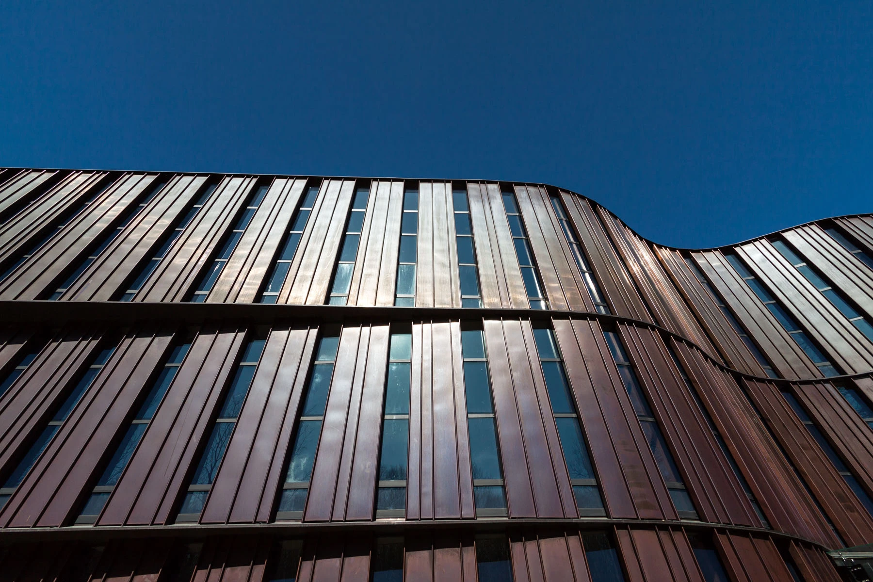 波兰比亚利斯托克教育建筑的现代演绎-13