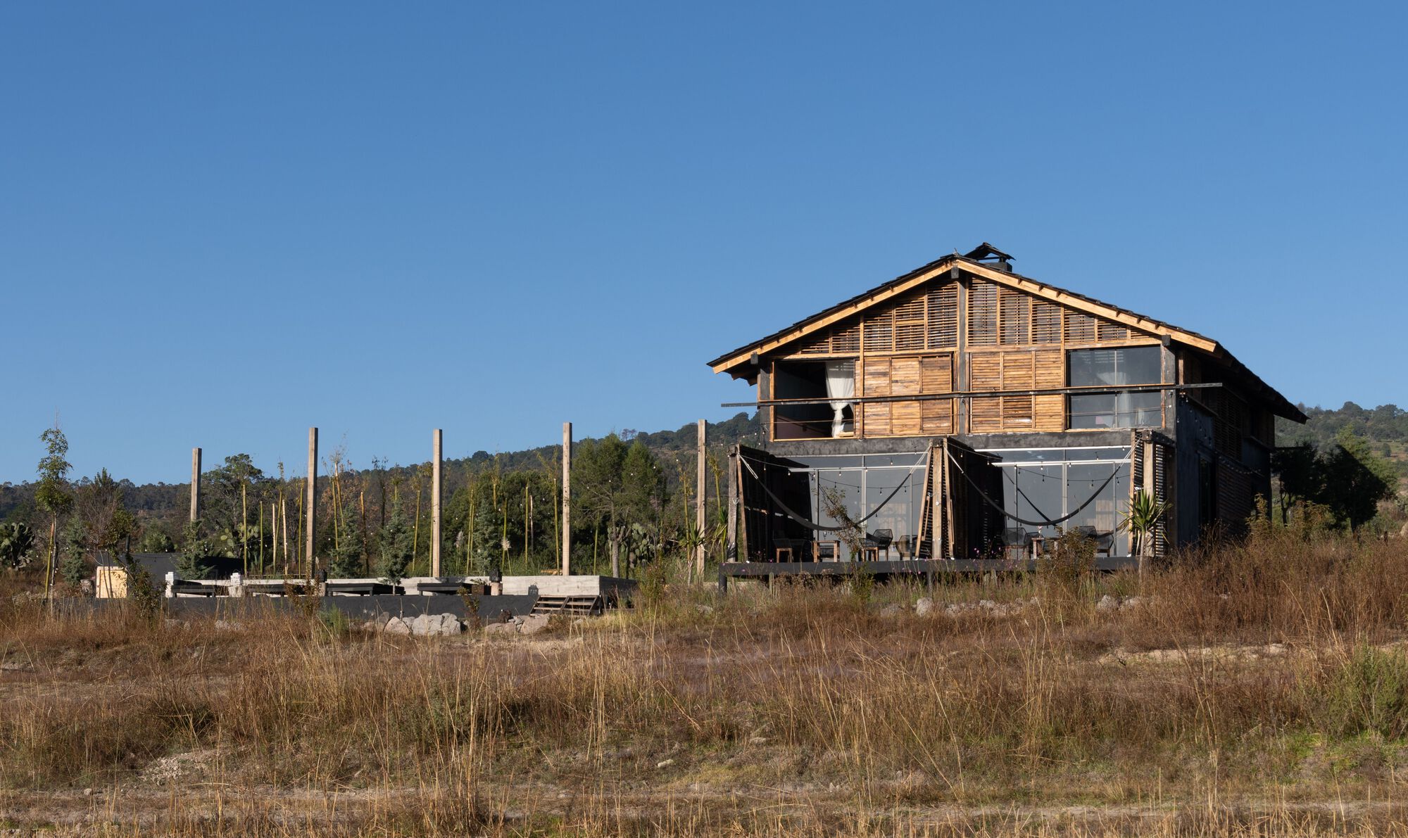 中村屋丨墨西哥丨Fausto Terán,Toro-16