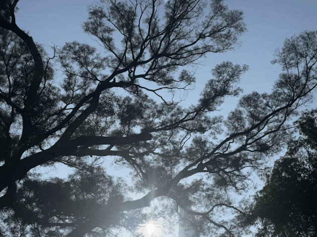 「红」•经典潮菜(深圳店)丨中国深圳丨AD 艾克建筑设计-12