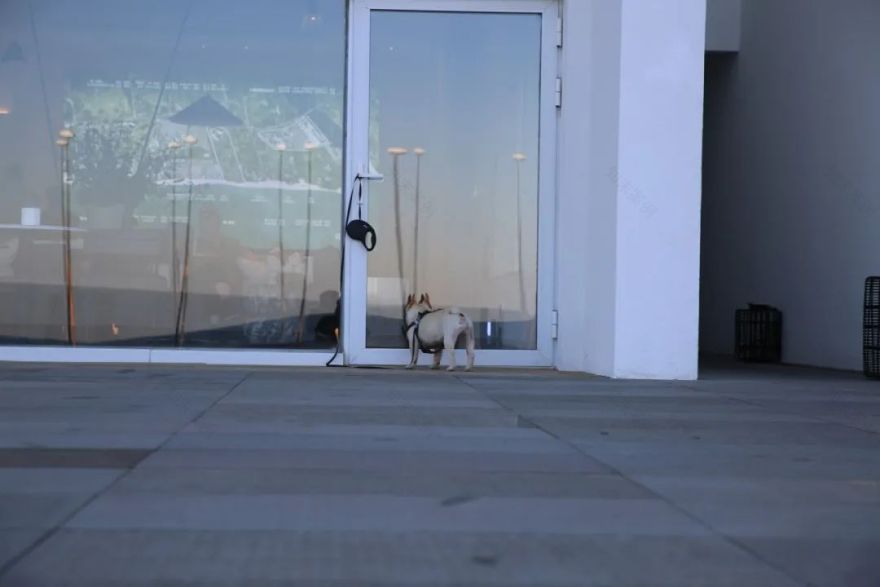 阿那亚的海、建筑与艺术 | 探索海边孤独的图书馆与礼堂-92