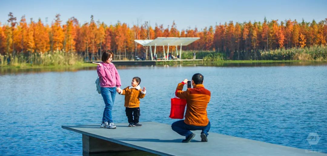 南昌市鱼尾洲湿地公园丨中国南昌丨北京土人城市规划设计股份有限公司-41