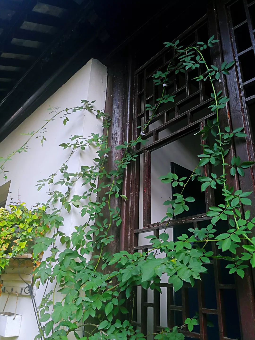 都市中的宁静院子 | 享受生活的诗意空间-10