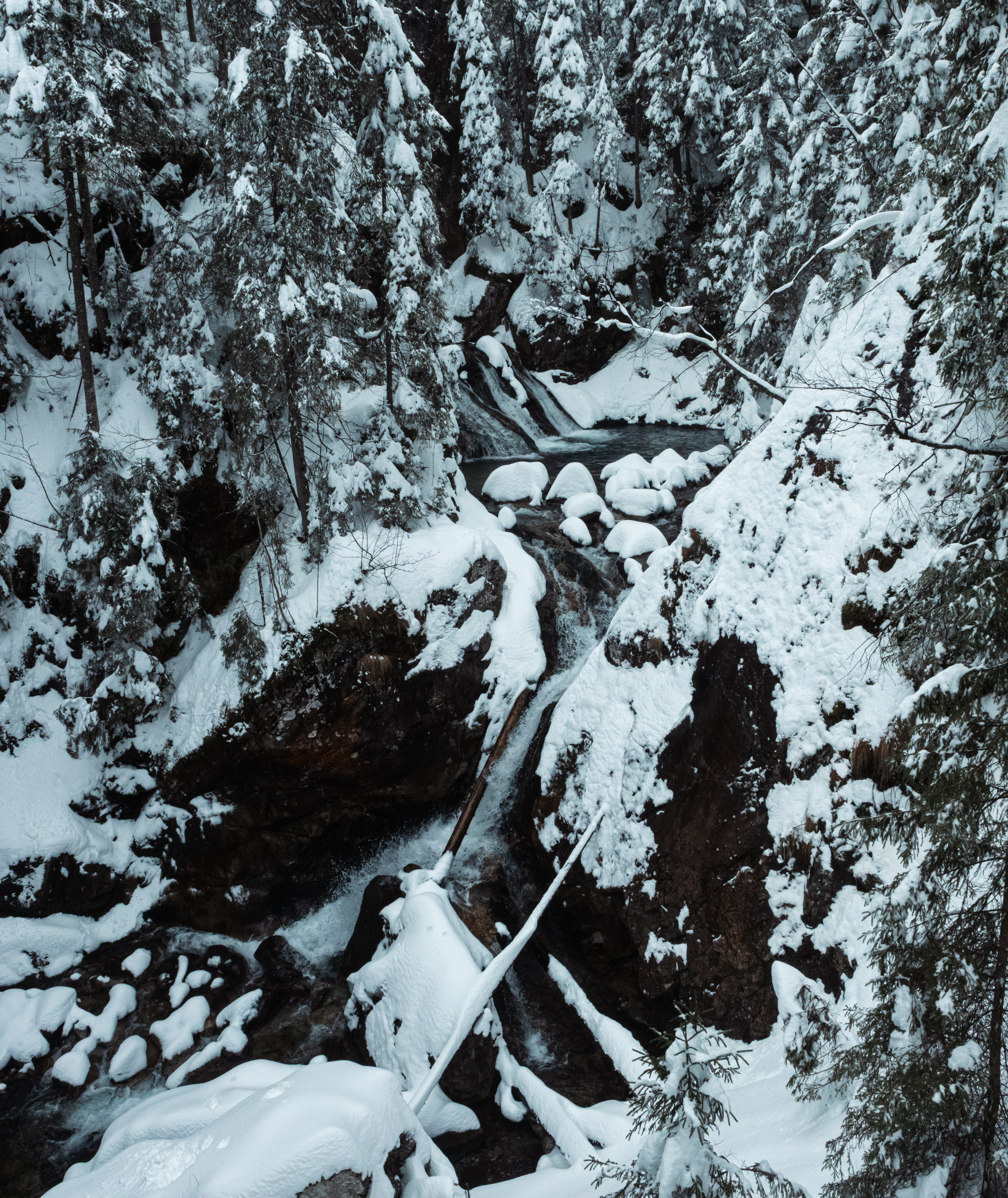 Zakopane 03/2026-1