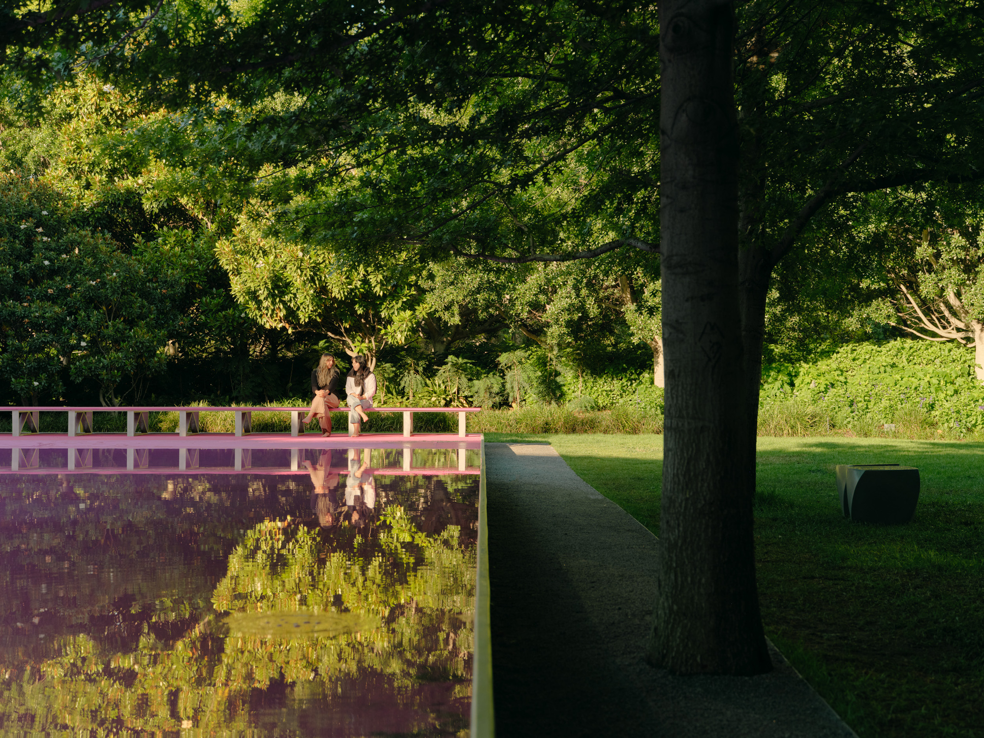 粉色池塘丨澳大利亚墨尔本丨Taylor Knights+James Carey-31