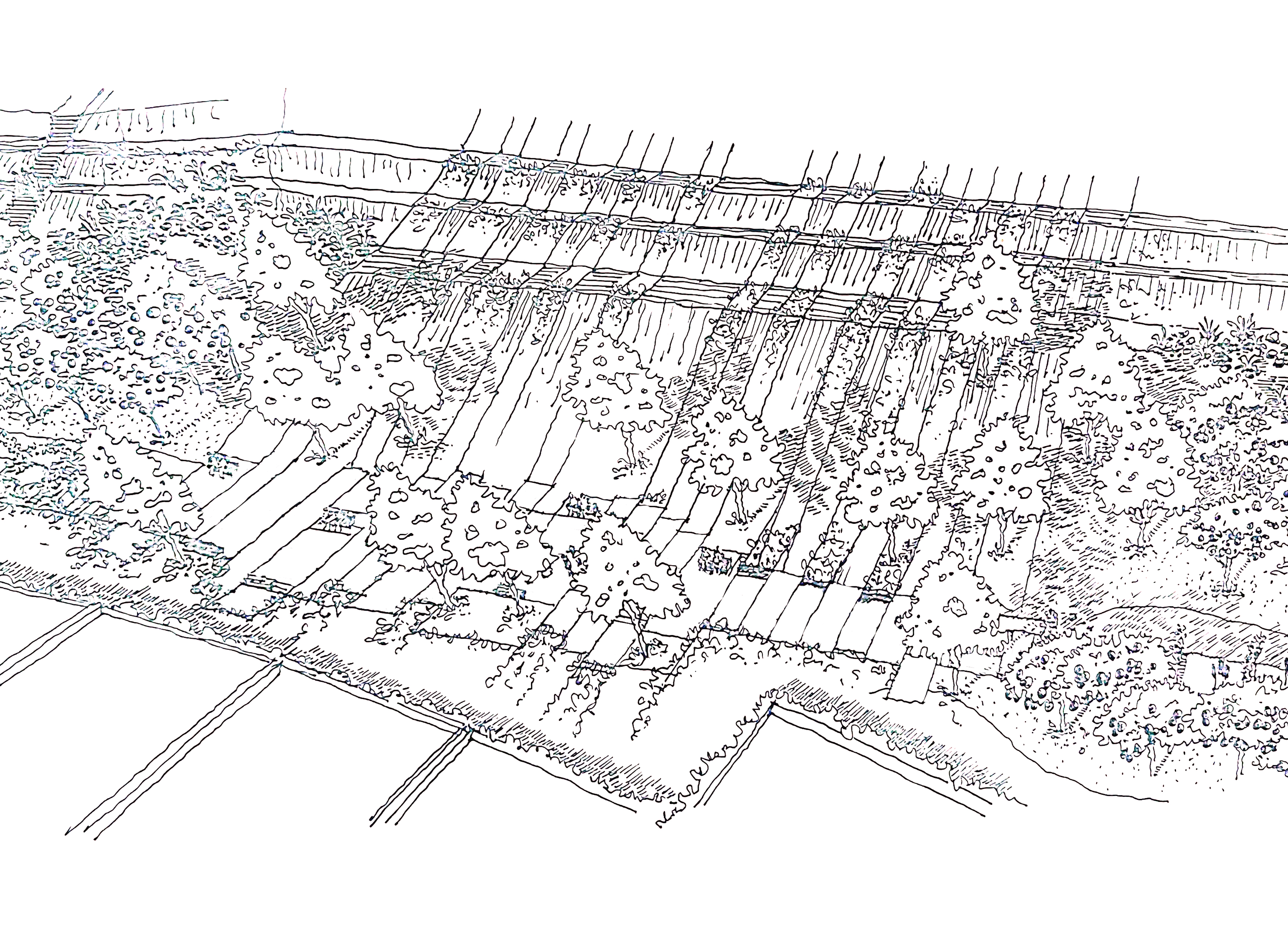 棕榈山景观草图丨EgyptCairo丨OKO PLAN Landscape-30