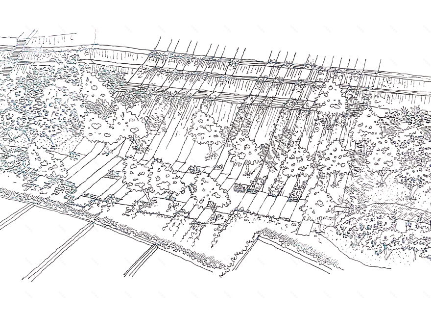棕榈山景观草图丨EgyptCairo丨OKO PLAN Landscape-30