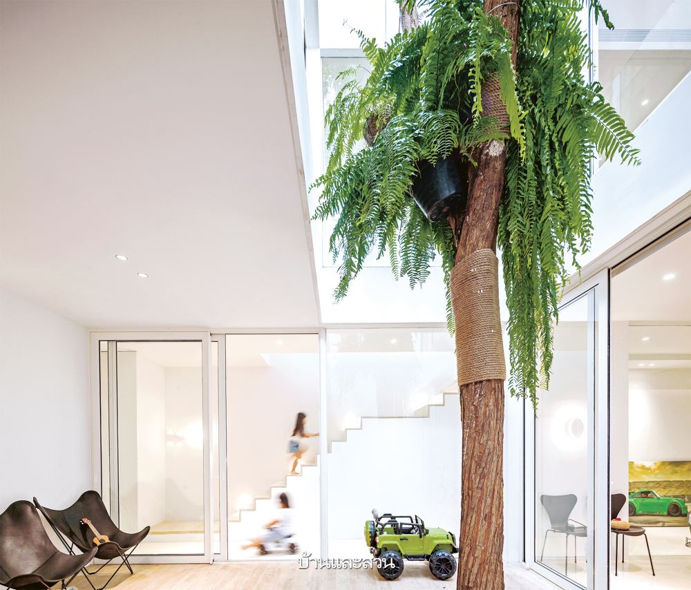 บ้านกล่องหลังคาทรงจั่ว ที่เปิดคอร์ตกลางรับพื้นที่สีเขียว - บ้านและสวน-5