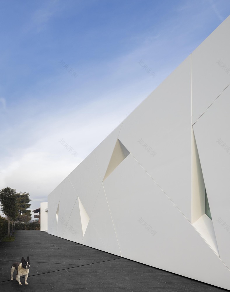 Diamond Tree(钻石树)-21