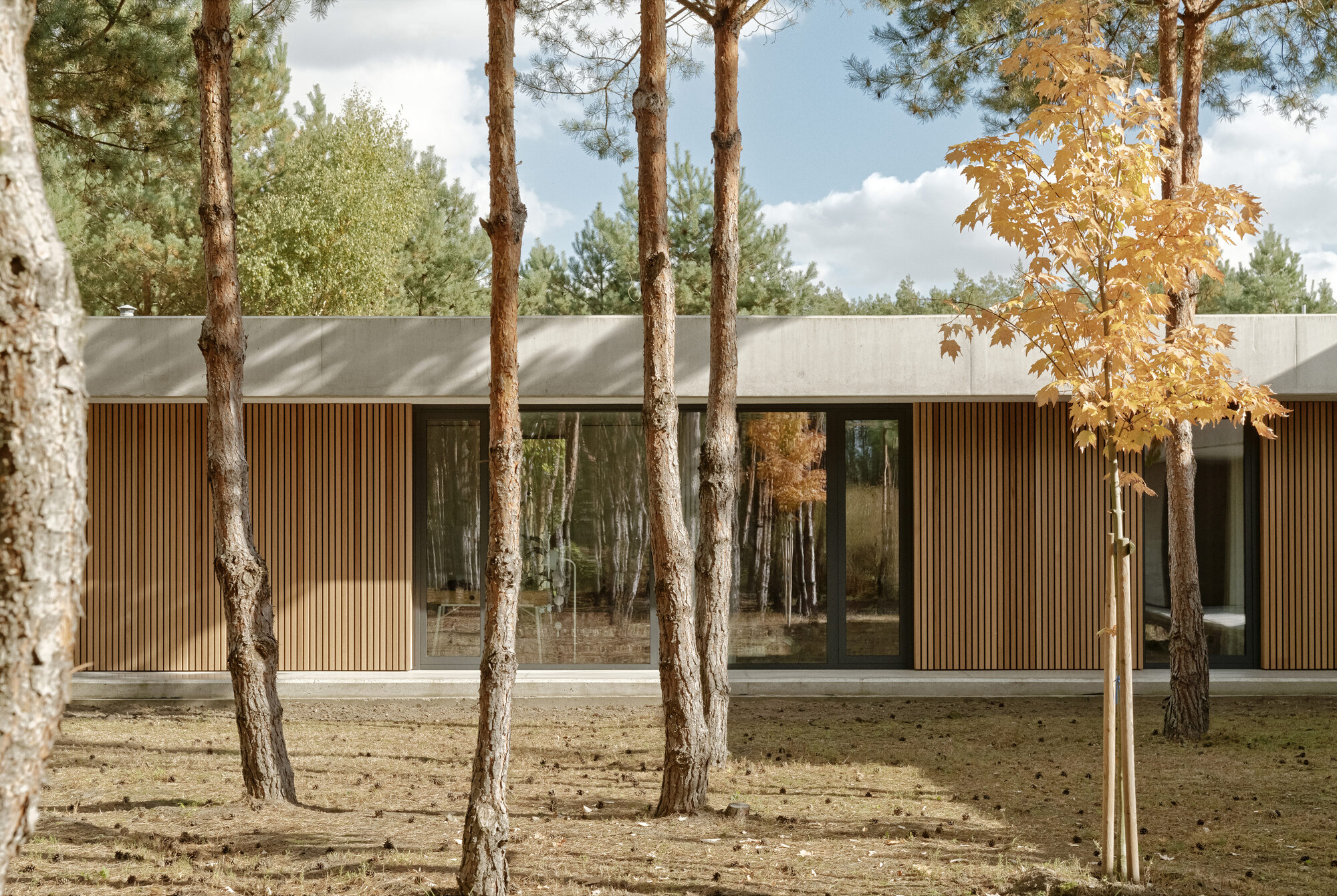 森林混凝土住宅丨波兰波兹南丨PL.Architekci-31