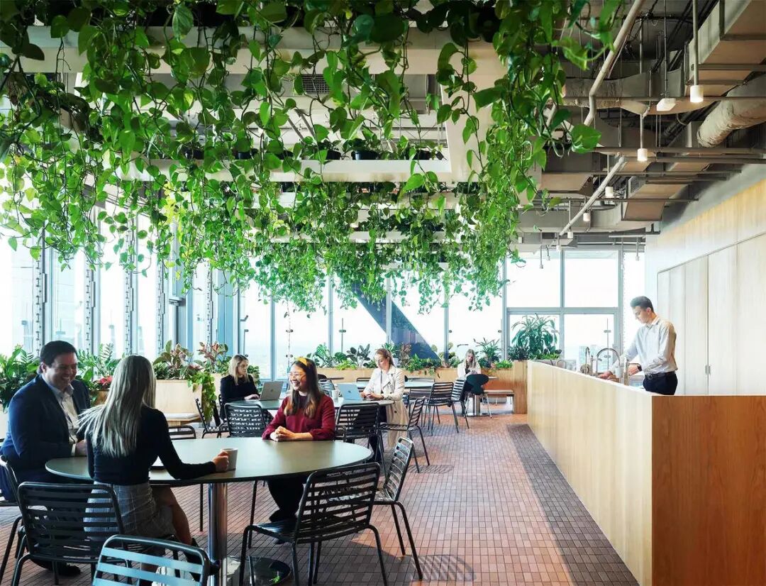 澳洲养老基金ART布里斯班总部丨澳大利亚布里斯班丨Cox Architecture-22