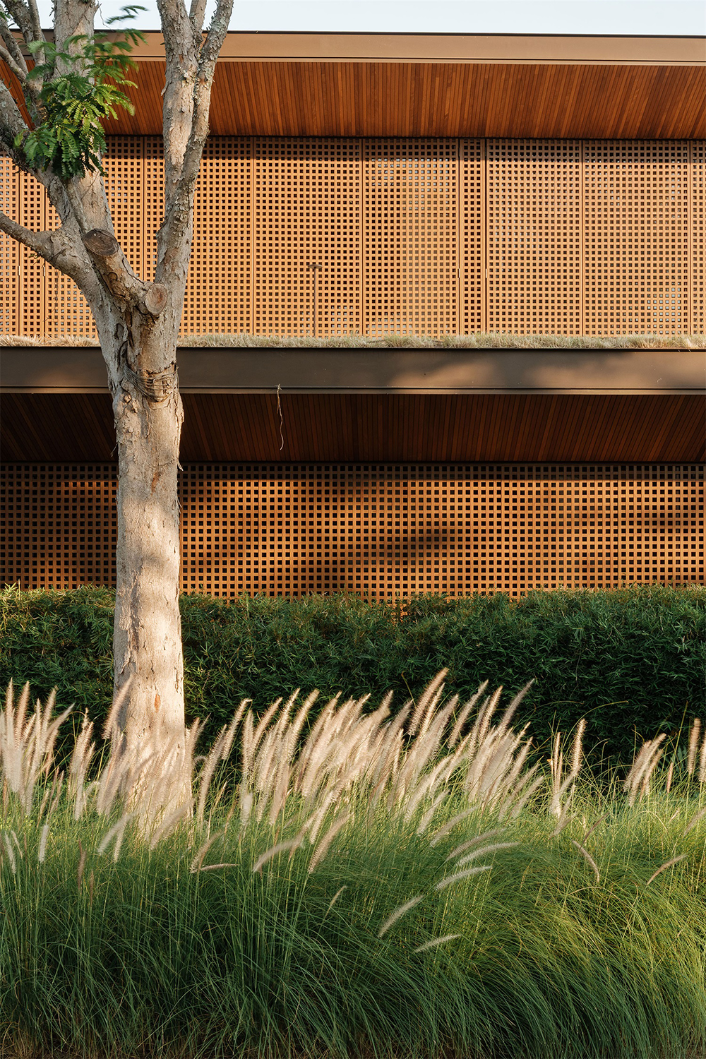 别墅景观丨巴西圣保罗-7