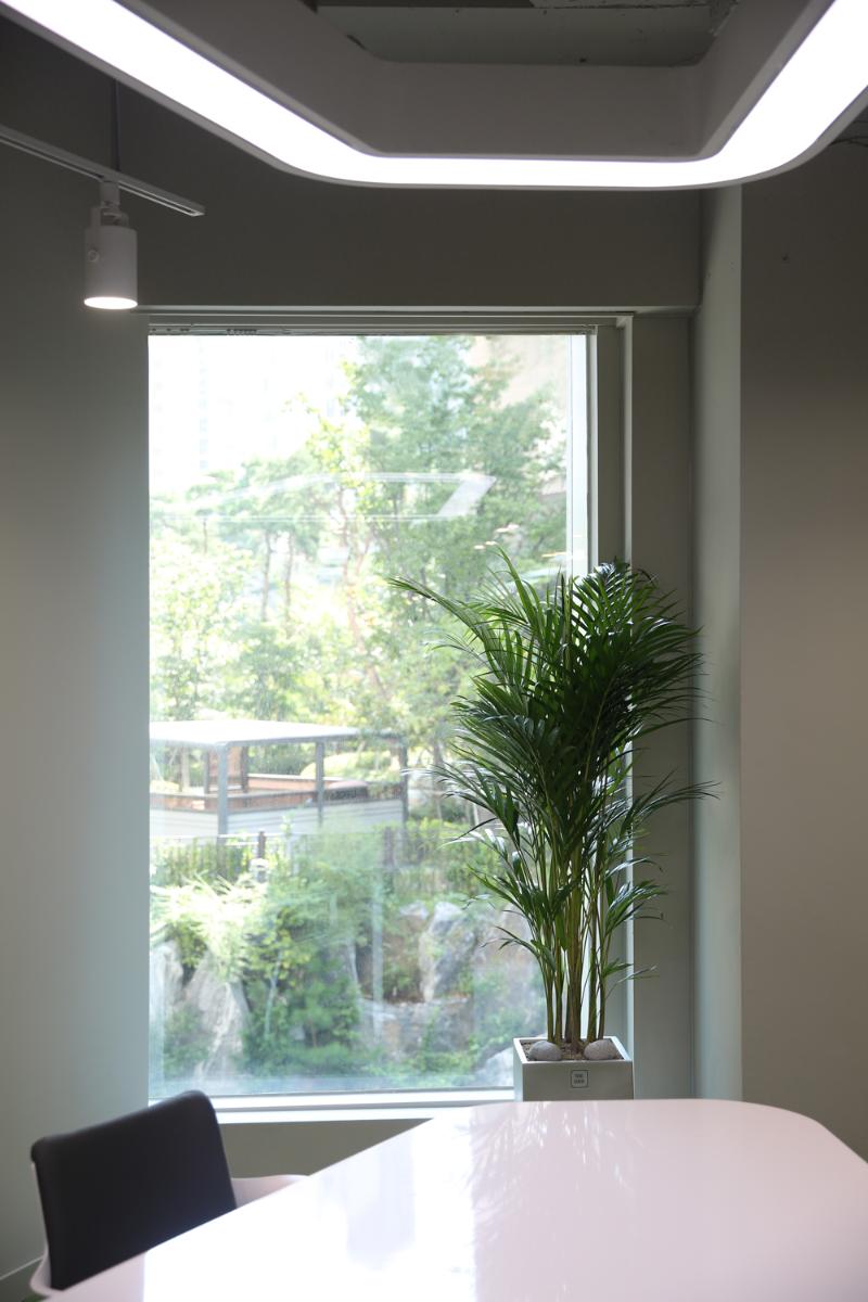 少女国家办公室-14