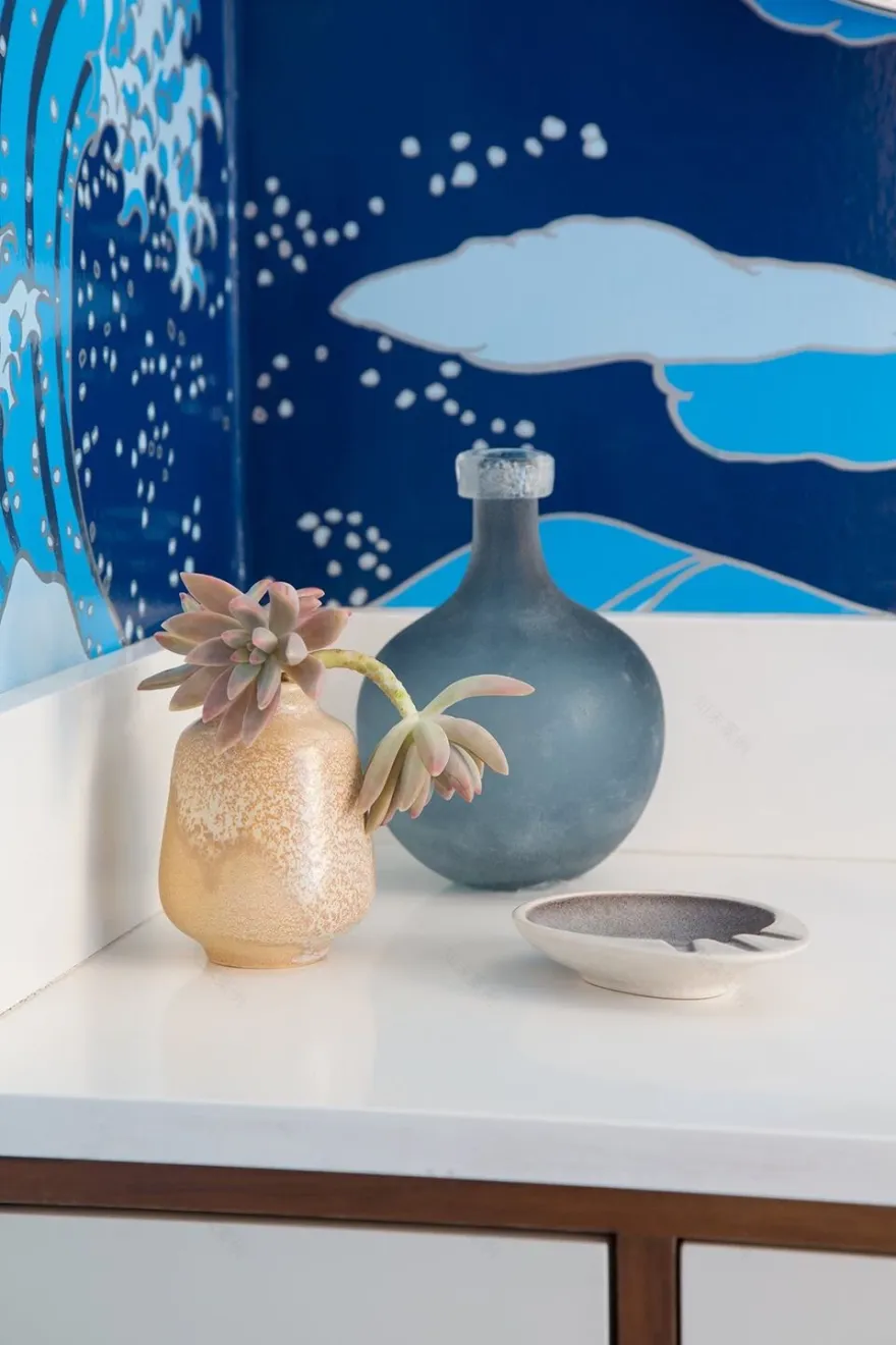 洛杉矶 50 年代乡村风格住宅的现代改造-38