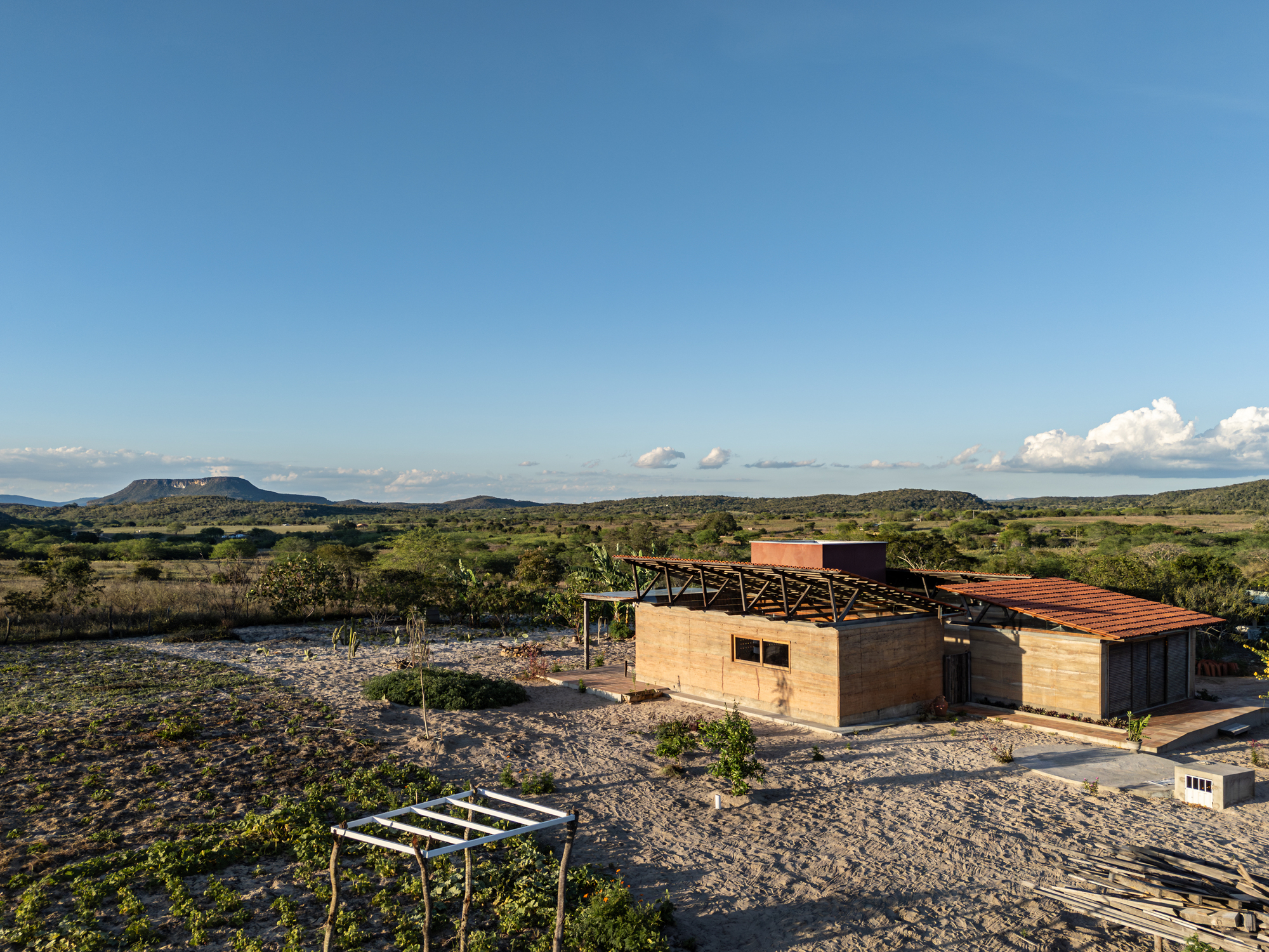 丨巴西伯南布哥丨AzulPitanga-41