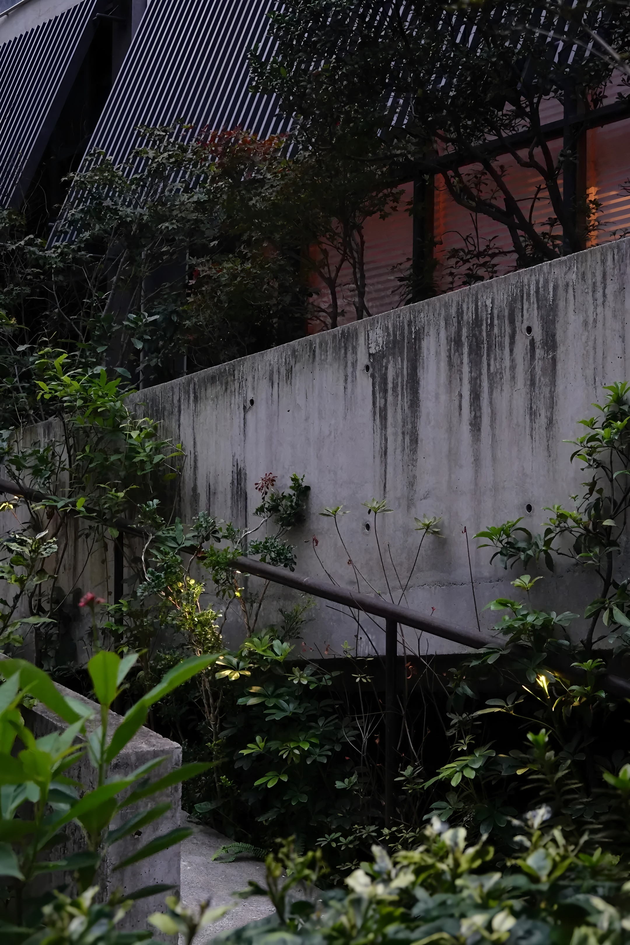 深圳茅台鉴藏馆丨中国深圳丨BLOOMDESIGN绽放设计-4