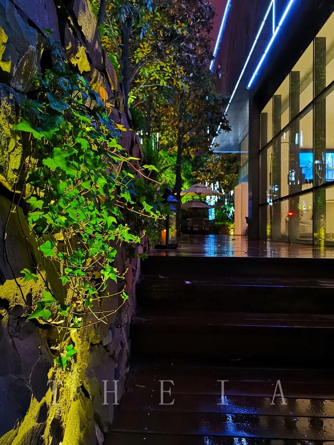 迪赛·东篱 | 闲田信步，采菊东篱-85