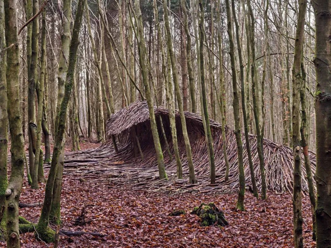 2021十大艺术装置丨多位艺术家-59