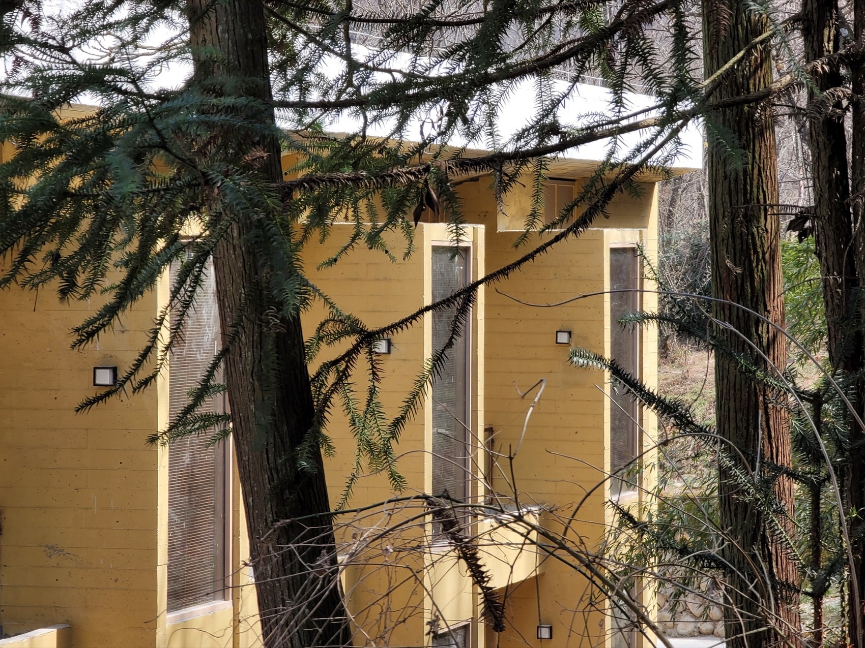 唐家河自然教育中心丨中国广元丨合造社建筑设计事务所-34