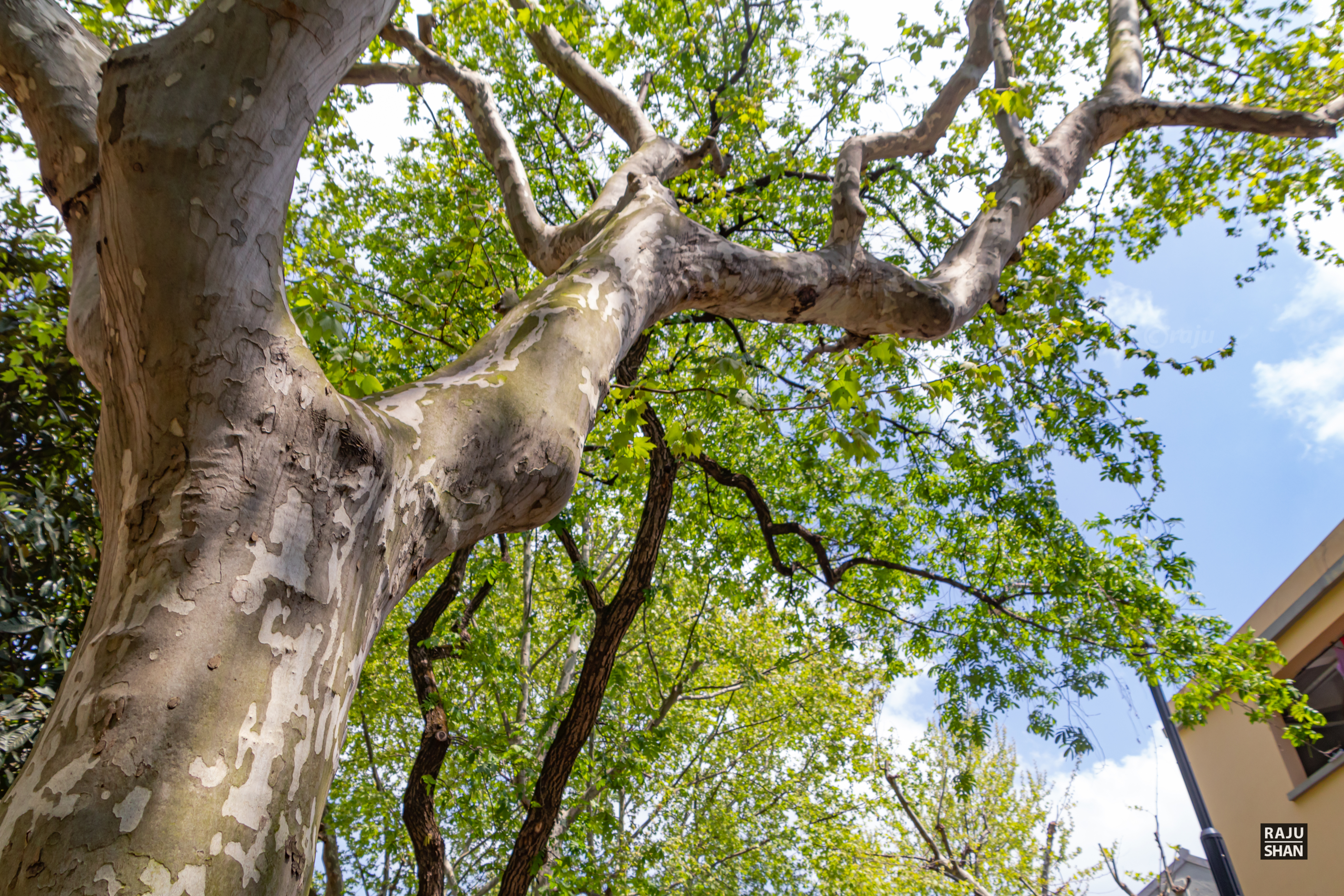 上海武康大厦丨中国上海丨László Hudec-32