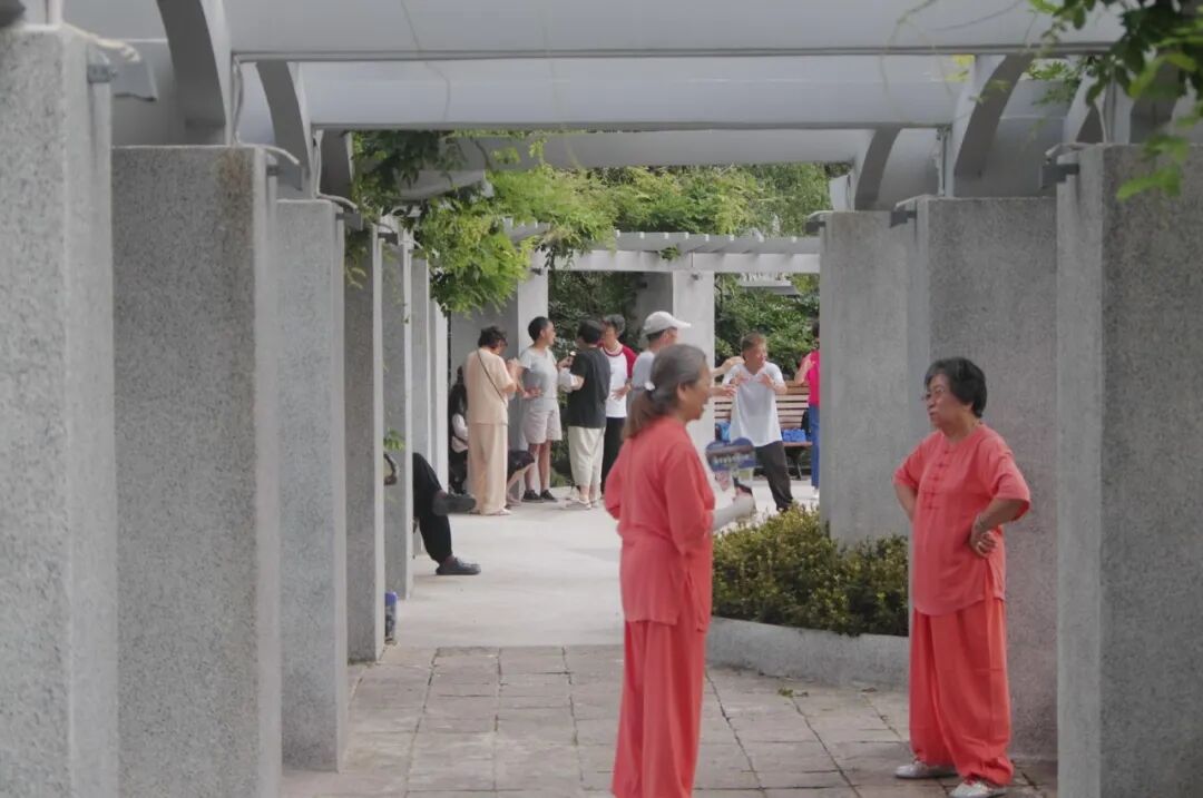 中国园林·理事专栏|“拓”之力量：杨浦公园改造纪实(三)-255