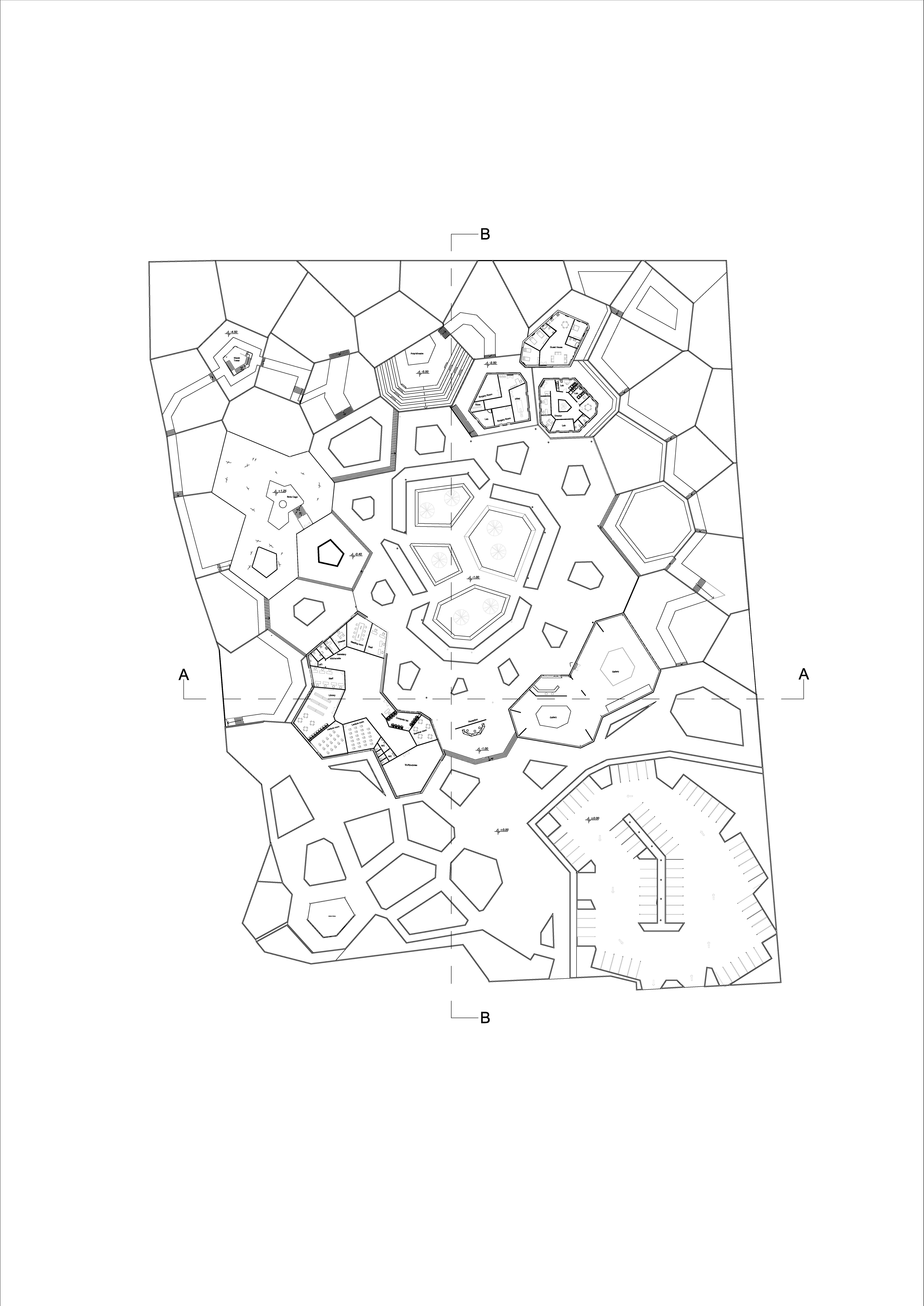 巴勒斯坦自然保护中心-37
