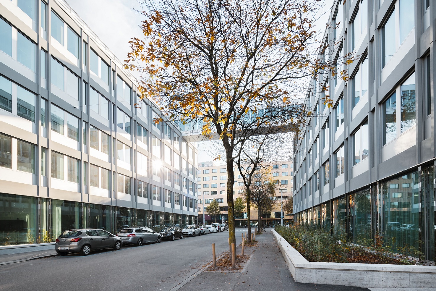 瑞士 KPMG 总部丨瑞士苏黎世丨GRUNER&FRIENDS-21