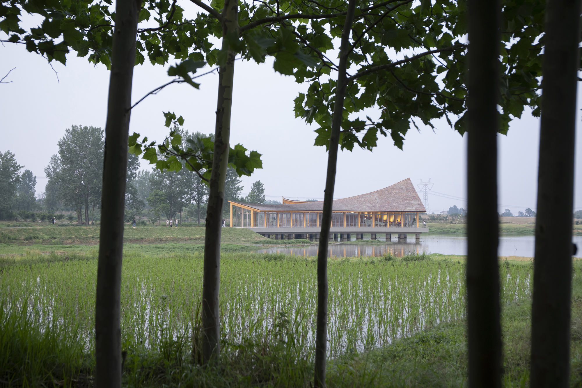 丨中国信阳丨Primary Architects-31