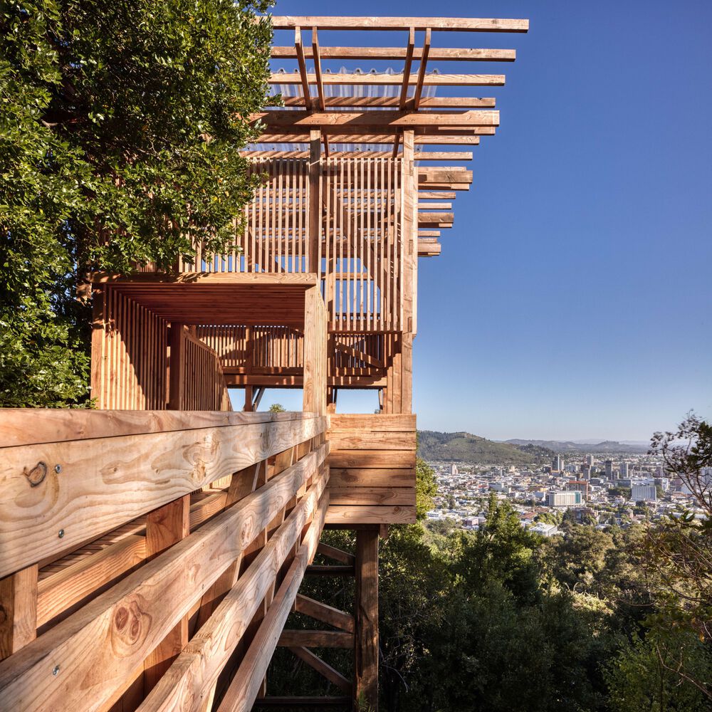 奇洛山丘丨智利丨Jaime Inostroza-33