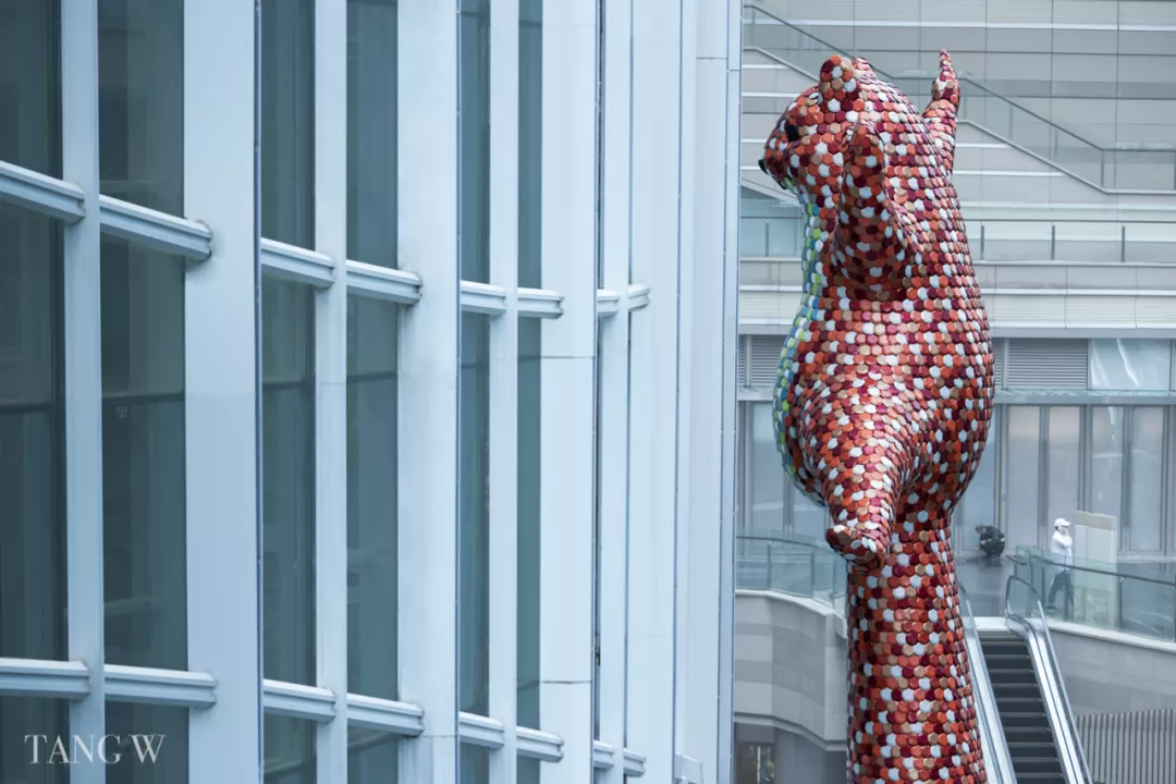 重庆光环购物公园丨中国重庆丨香港置地-15