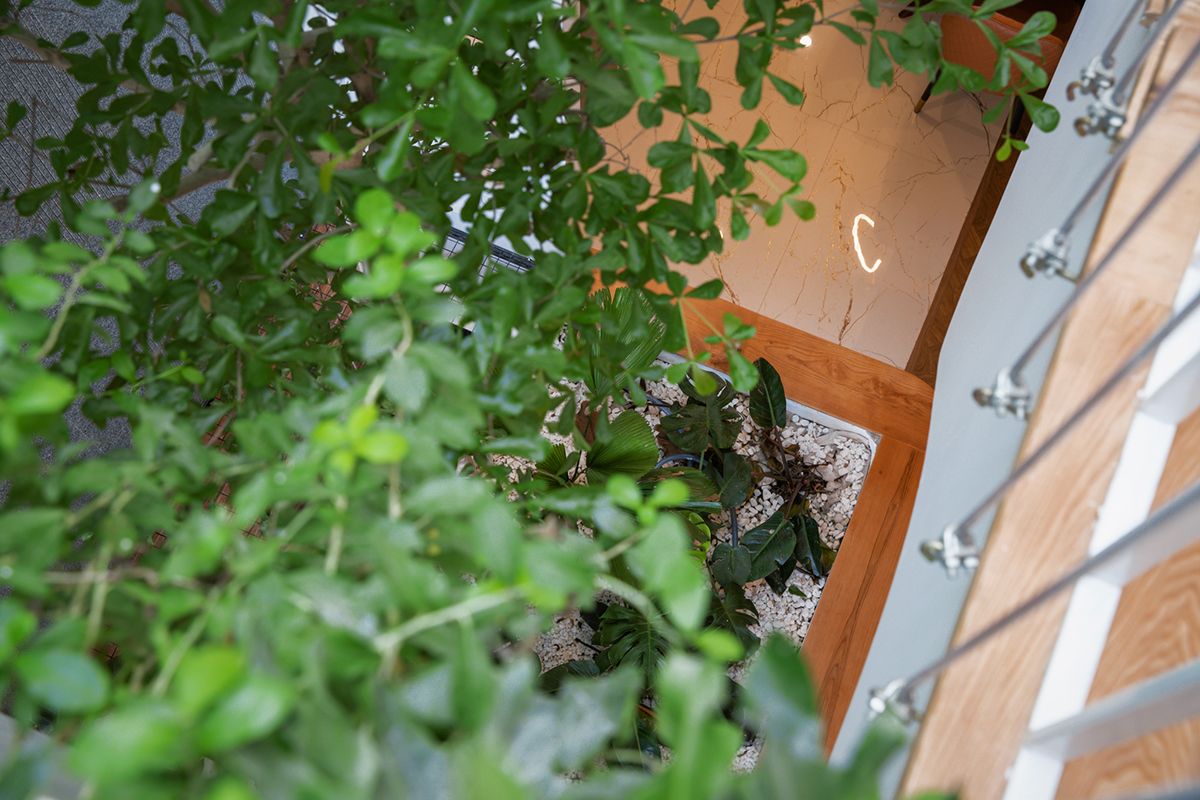 布鲁克林住宅-70