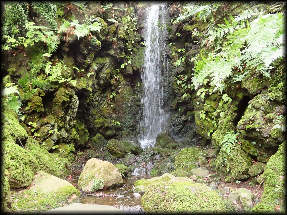 辻家庭園（旧横山男爵家別荘）丨七代目小川治兵衛-23