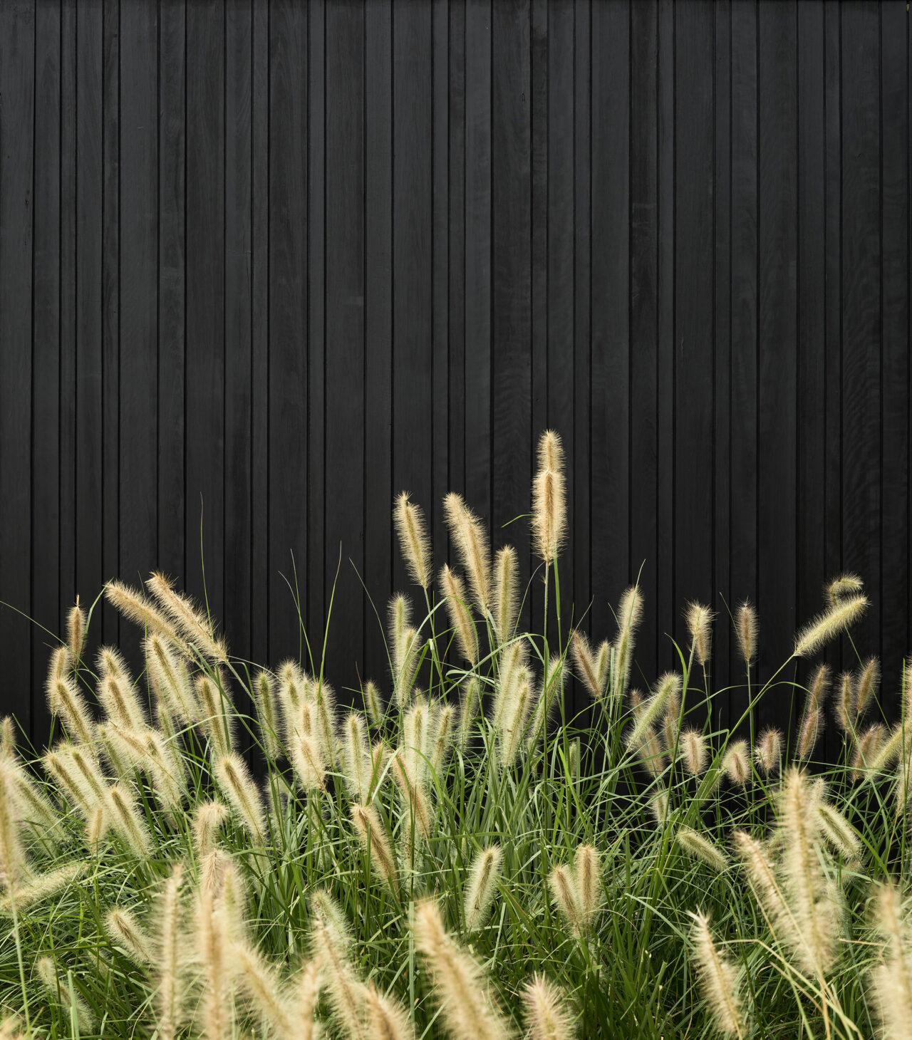 丨澳大利亚新南威尔士-1