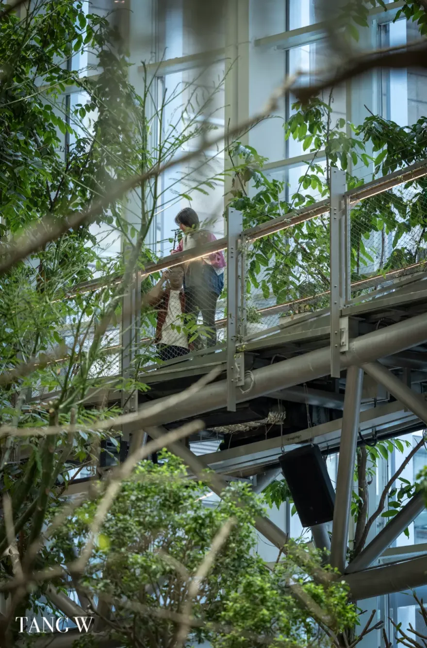 重庆光环购物公园丨中国重庆丨香港置地-35