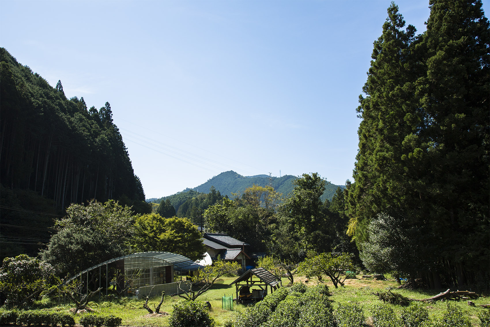 廊架住宅丨日本静冈丨Takayuki Kuzushima and Associates-74