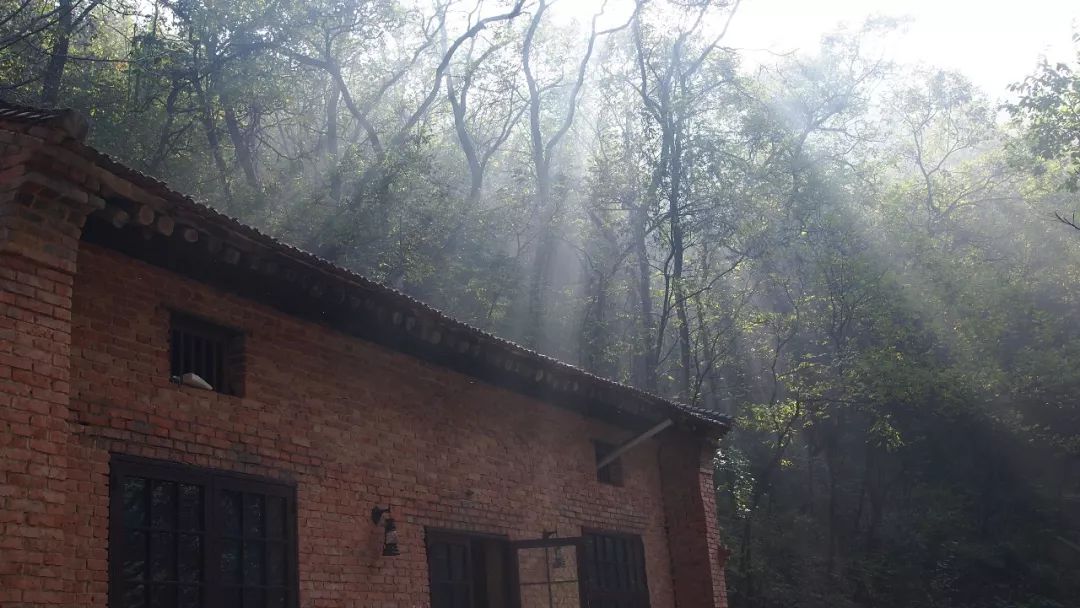 终南山书院 | 回归自然的诗意栖居-34