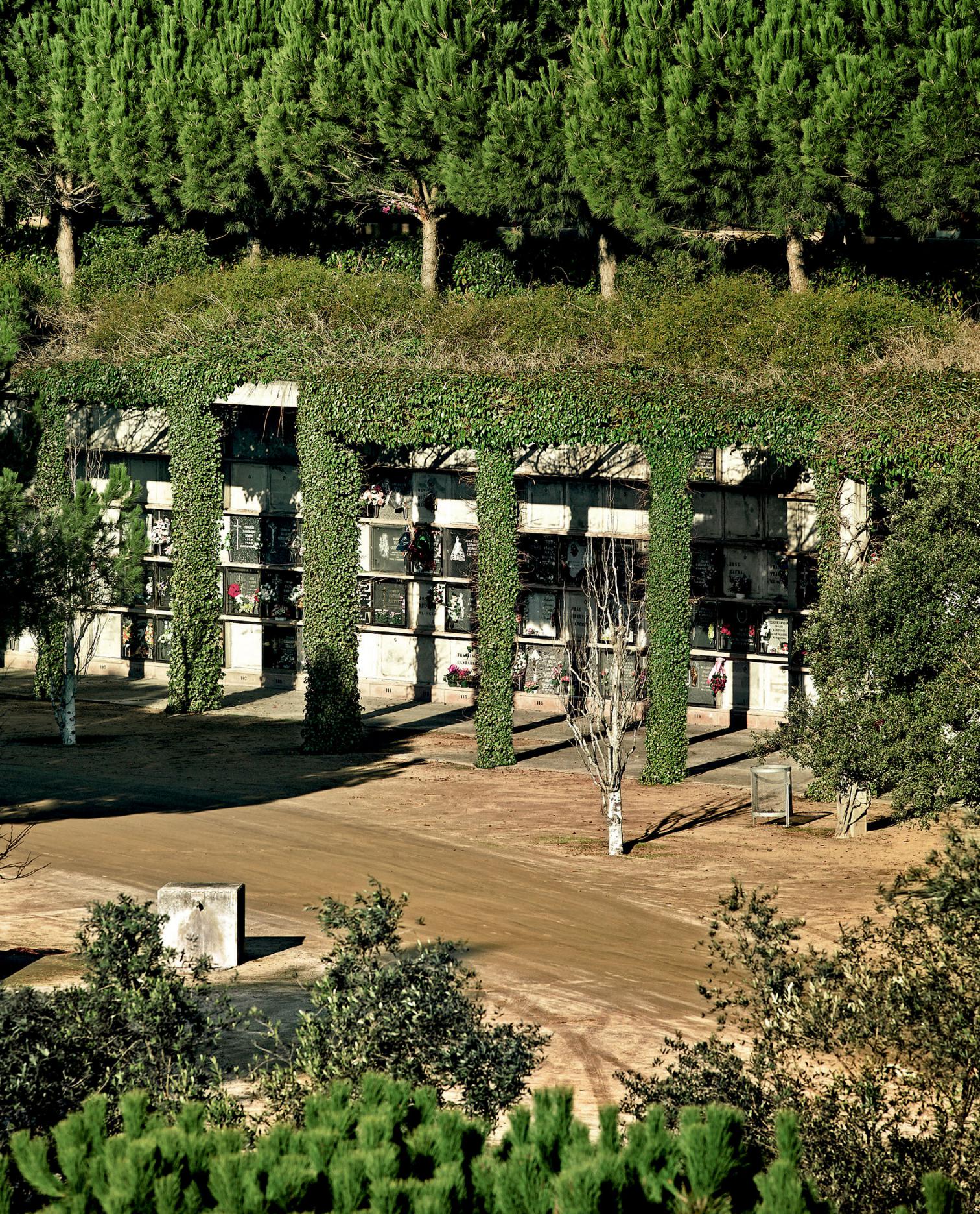 巴塞罗那丘陵上的诗意陵园-8